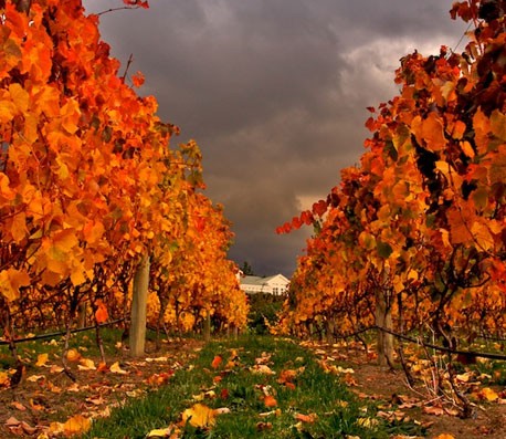 免费ddos压力测试平台